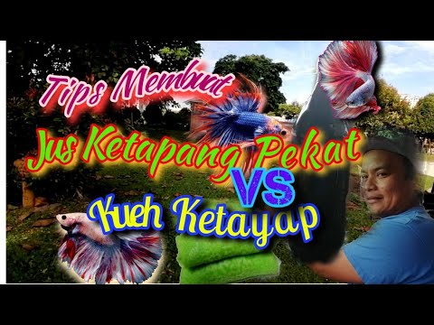 Cara-cara membuat jus ketapang dan kueh ketayap - YouTube