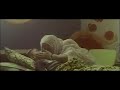 اغنيه عن امي لا اعود يا امي اقبل راسك الزاكي اغنيه عن امي لا اعود يا امي اقبل راسك الزاكي