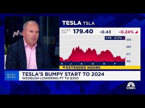 Tesla is going through a 'code red situation' right now, says Wedbush's Dan Ives