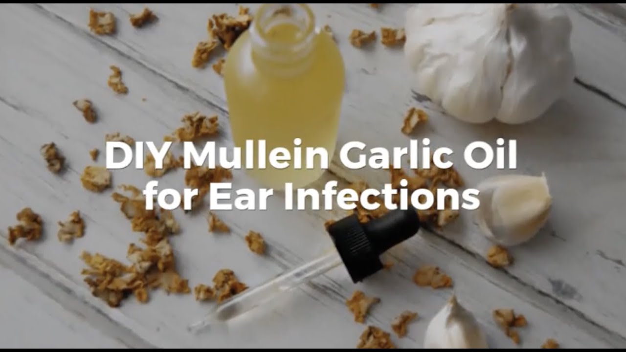 DIY Mullein Garlic Oil for Ear Infections YouTube