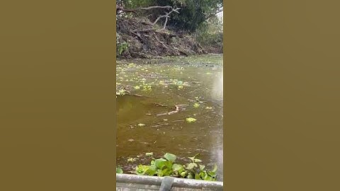 Flood Mitigation Clearing (or Dredging) of Opa Aro river ways - V0008