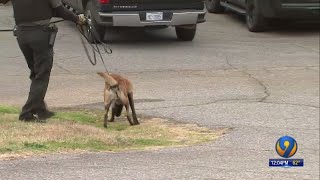 Deputies: Man breaks into Catawba Co. apartment, sexually assaults woman; manhunt underway