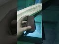 Best way to clean your cricket bat at home