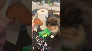 Ouch Why Do Cats Bite Their Owners