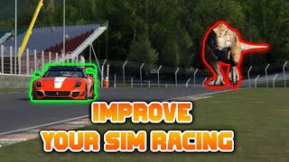 Be Faster in Sim Racing With a Trex screenshot 5
