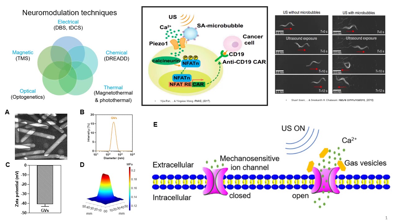 Qiu - Enhanced US Neuromodulation In Vitro Using Nanobubble Actuators (Poster) (2020)