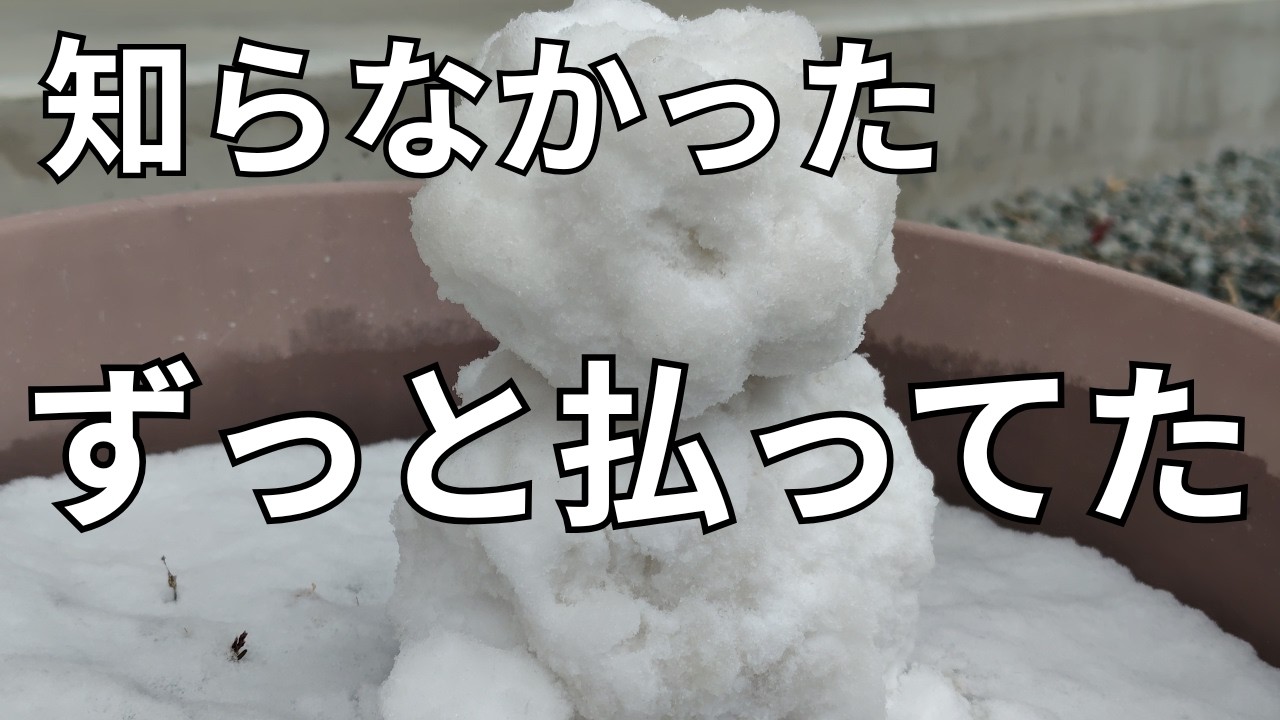 知らなかったらずっと払っていた　返済中でも普通に暮らす1日