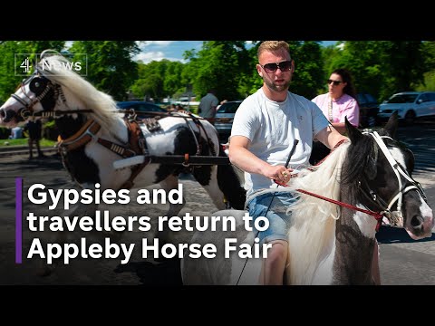 Video: Kje je sejem konj appleby?