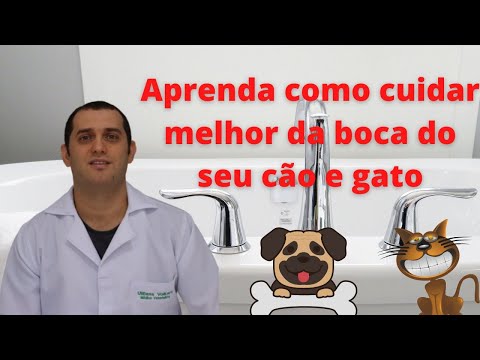 Vídeo: Cachorro Com Mau Hálito - Tratamento De Halitose Para Cães