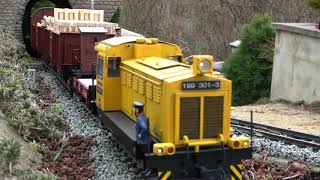 Zugsichtungen 1 Legendärer Rollbockzug Im Harz Legendary Rollbock-Train In The Harz Mountains