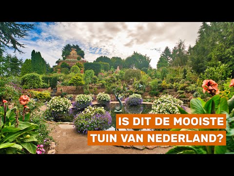 Video: Bergnatuur: dieren en planten