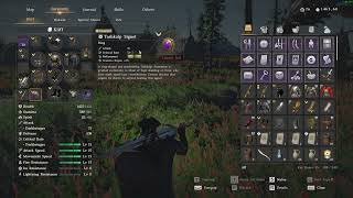 Crimson Desert - Ultimate End Game Build Guide