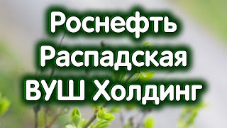 Роснефть, Распадская, ВУШ Холдинг. Индекс МосБиржи. Обзор 10.05.2024