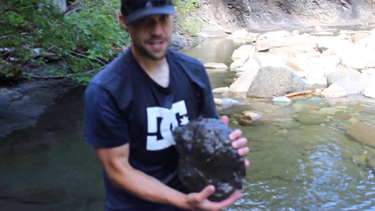 Dave's Monster Ammonite Vancouver Island