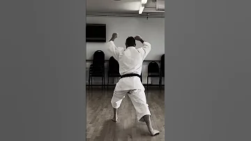 Goju Ryu Kata Saifa 