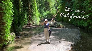 VANLIFE in California | Redwoods Edition