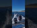 Lake Eucumbene Fishing Adventure Amazing Weekend Catch | Breamer Bay Trout Fishing Experience