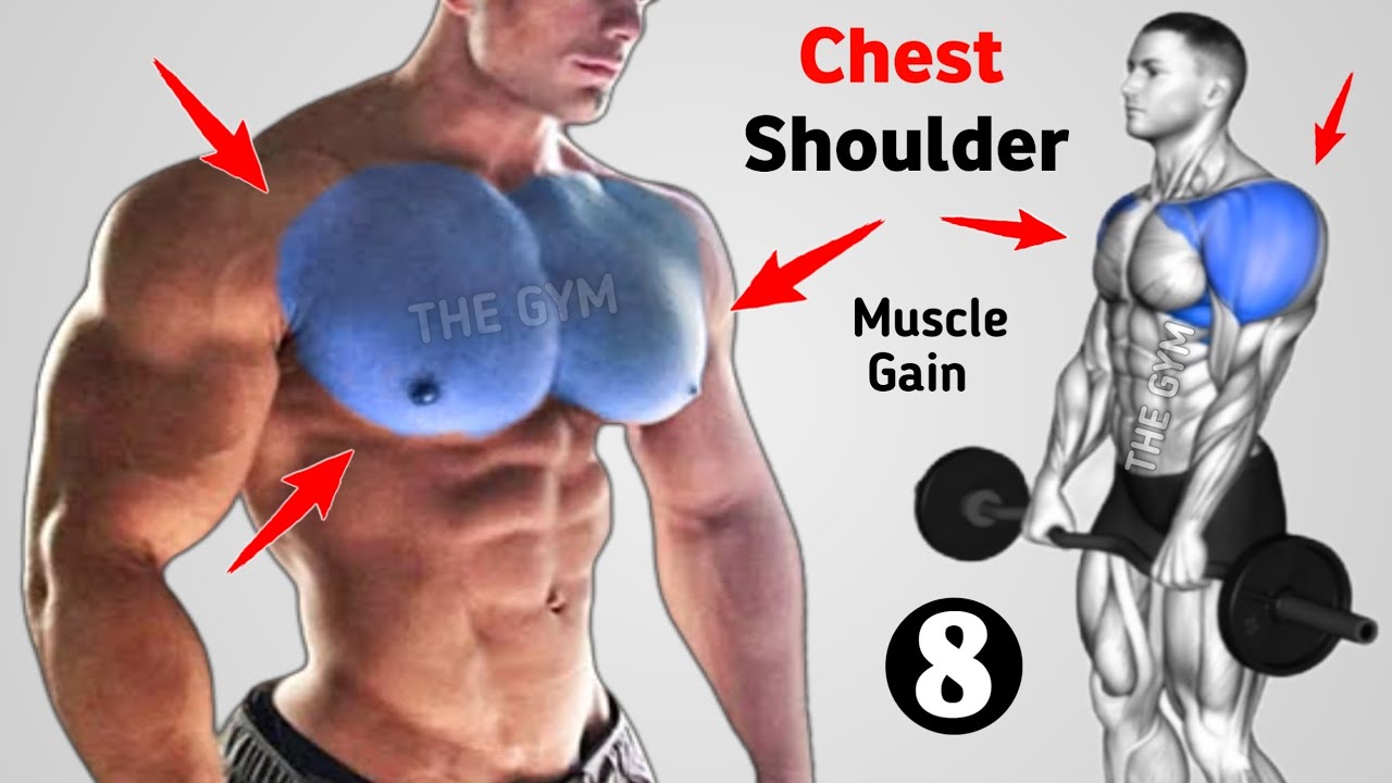 8 Best Chest & Shoulder Exercises for Massive Muscle Gains - YouTube