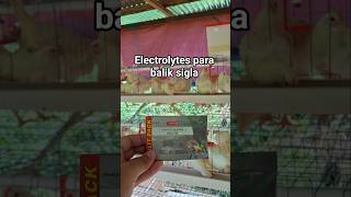 Electrolytes para sa bagong dating na manok, pra bumalik ang kanilang sigla. #farming #RTL #farmlife