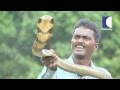 Vava Suresh Capturing & Taming an Attacking King Cobra | SNAKE MASTER EPI 50 | Kaumudy TV