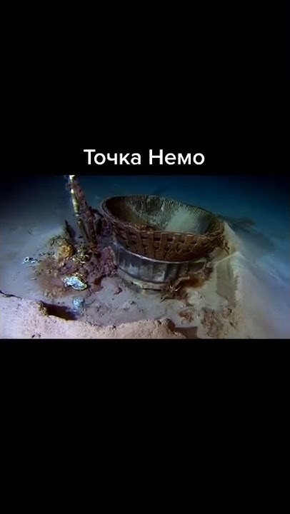 Интересные факты. Точка немо #shorts - YouTube