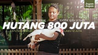 Download Lagu Cara Sederhana Ternak Entok Jumbo Tanpa Bau, Hasilnya Bisa Untuk Melunasi Hutang MP3 Download Lagu Cara Sederhana Ternak Entok Jumbo Tanpa Bau, Hasilnya Bisa Untuk Melunasi Hutang MP3