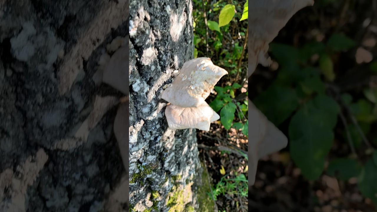 Happy Saturday! Winter's Coming, Get Out & Explore! 