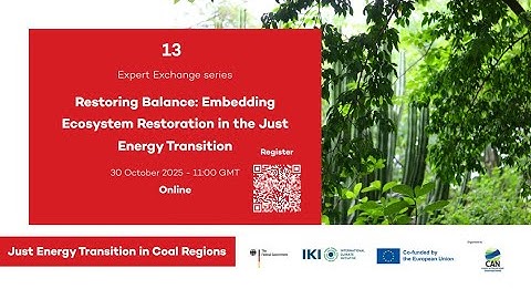 Expert Exchange - Restoring balance: Embedding ecosystem restoration into the just energy transition