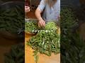 大量そら豆皮剥き #無肥料 #再生栽培 #そら豆