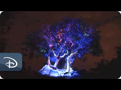 New Nighttime Magic at the Tree of Life | Disney's Animal Kingdom