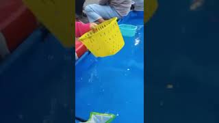 Serunya Tangkap Ikan Smpe Gak Sadar Udh Malamm Ajaa