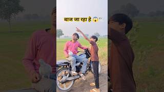 kabooter ने बाज को मार दिया 😱🕊️ #pigeon #shortsfeed #basrutigerkabuter