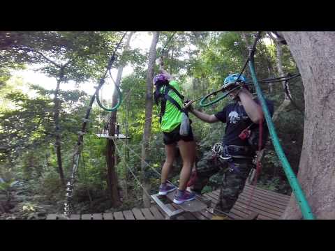 My Flying Squirrel Chiang Mai