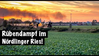 Rübendampf im Nördlinger Ries  2023 (BEMNördlingen)