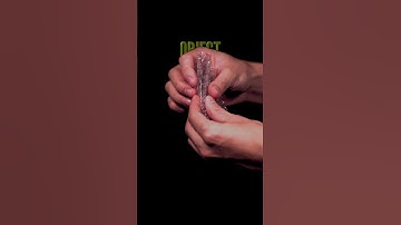 Thumbnail of Popping Bubble Wrap | Original sounds created by   @OddioStudio   Follow this Foley artist!