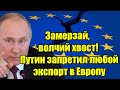 Замерзай, волчий хвост! Путин запретил любой экспорт в 