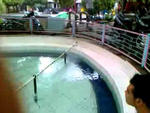 Kejadian Ikan Terdampar Di Thailand orang cirebon di makan ikan paus YouTube Kejadian Ikan Terdampar Di Thailand orang cirebon di makan ikan paus YouTube