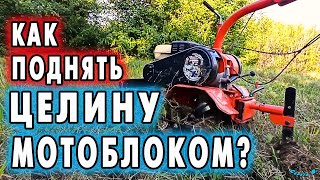 ⚡️Как ПОДНЯТЬ 🔥ЦЕЛИНУ МОТОБЛОКОМ?🔥 Raise virgin soil with a walk-behind tractor? 用手扶拖拉機耕種原始土壤？