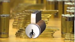 Schlage Everest 29 Integration