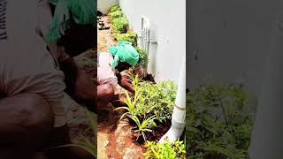 🌿 Landscape & Car Park Transformation   Avadi, Chennai ✅