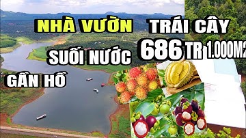 Chị ái kẹt tiền, bán gấp vườn đủ loại trái cây, suối nước quanh năm, cẩm mỹ đồng Nai
