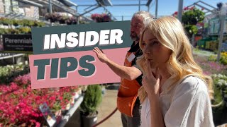 Home Depot Plants  \/\/ insider tips and info