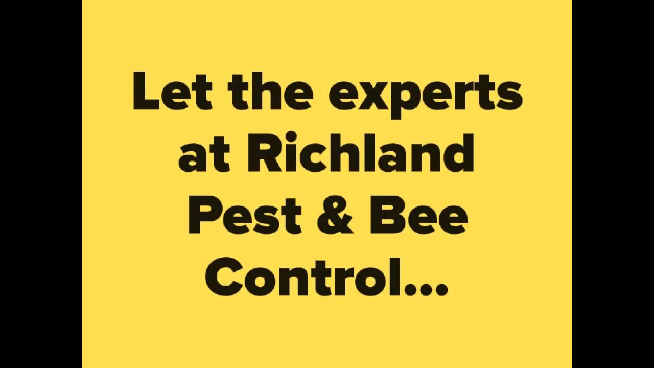 Richland Pest & Bee Control