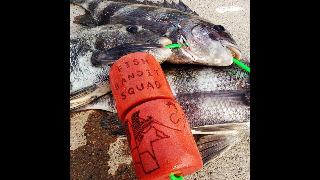 PULLING KEEPER SHEEPER'S RIGHT OUT THE ROCKSPACKERY CHANNEL PARK