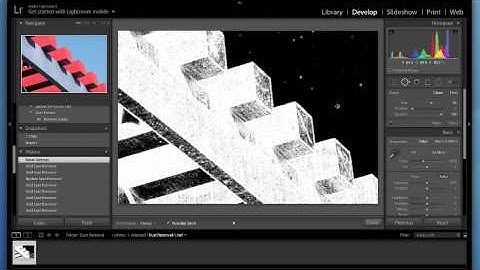 Using Lightroom® to Remove Sensor Dust from Photos: Using the Spot Removal Tool