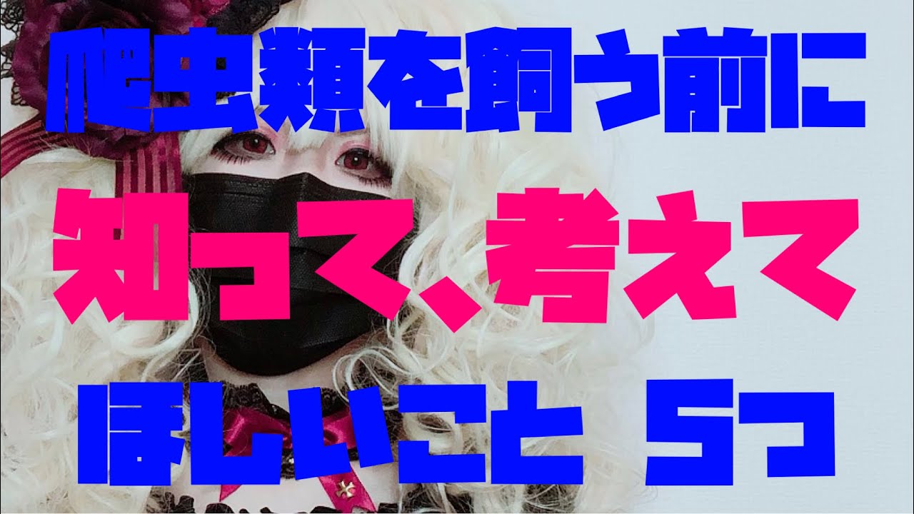 爬虫類を飼う前に知ってほしいこと、考えてほしいこと【元 両生爬虫類飼育員】