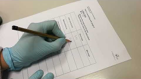 Experiment 4 - Projectile Motion / Part B