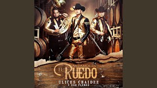 Video thumbnail of "Ulices Chaidez - Recargado En Una Palma"