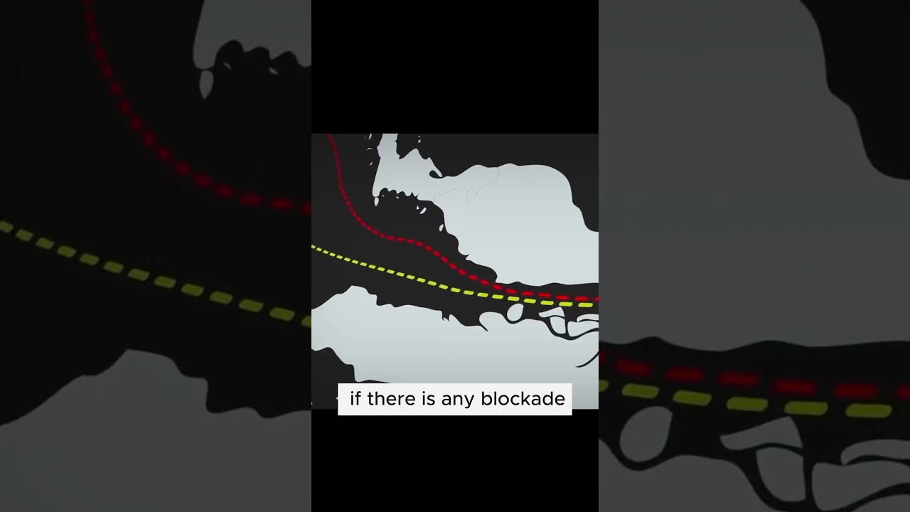India's Control over China's fear- Malacca Straight #shorts #upsc #ias