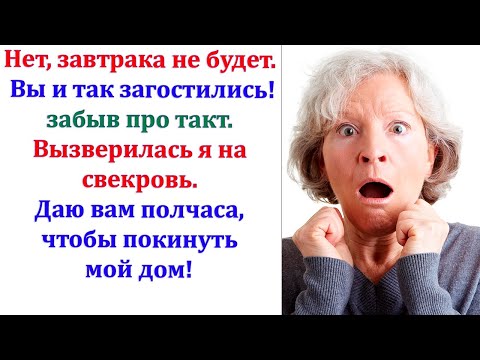 Ишь Ты! В 4 Утра Она Легла! Корова! Вставай Бегом! В Доме Грязища, Еды Шаром Покати! Орала Свекровь